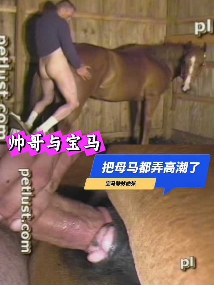 马屄操着看似很舒服啊！猎奇资源〔帅哥与宝马〕没见过值得一看。