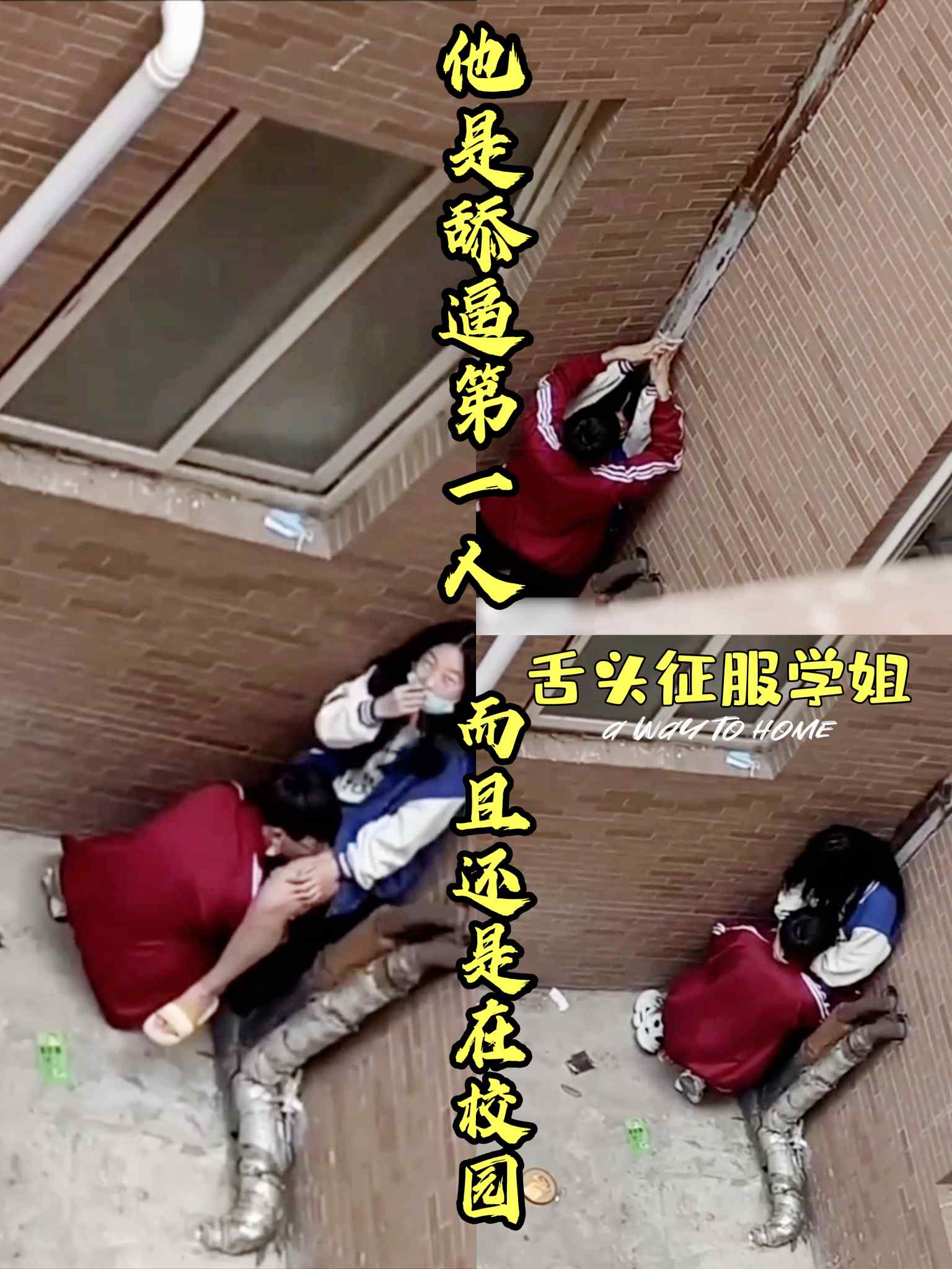 春天里在校园用舌头征服学姐。