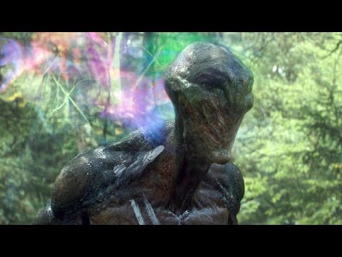 人类星际移民，遇到外星生物，所有女性均被杀死！《混沌行走》 视频封面