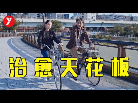 2023年治愈天花板，好久没见到这样的日本电影了《完美的日子》的封面图