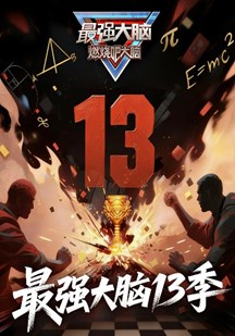 最强大脑第十三季