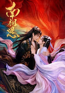 南相思的封面图