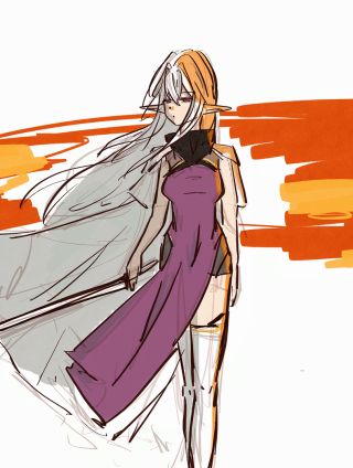 赛蕾珂地区的战斗日志