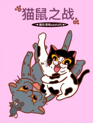 猫鼠之战