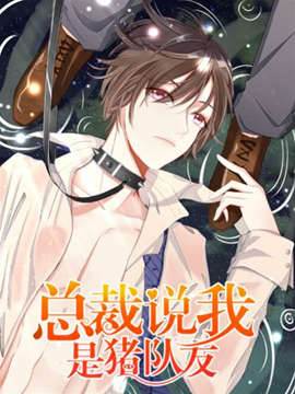 总裁说我是猪队友