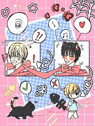 我养猫的那些年