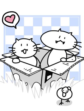 长脸猫和小猫崽子