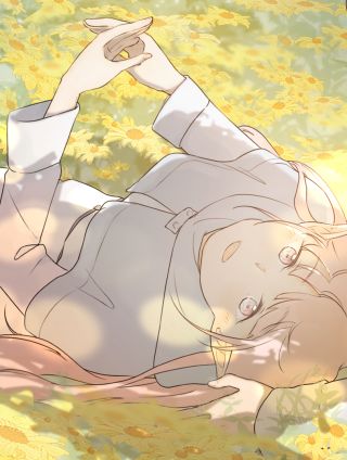 希尔菲娜的小蛋糕