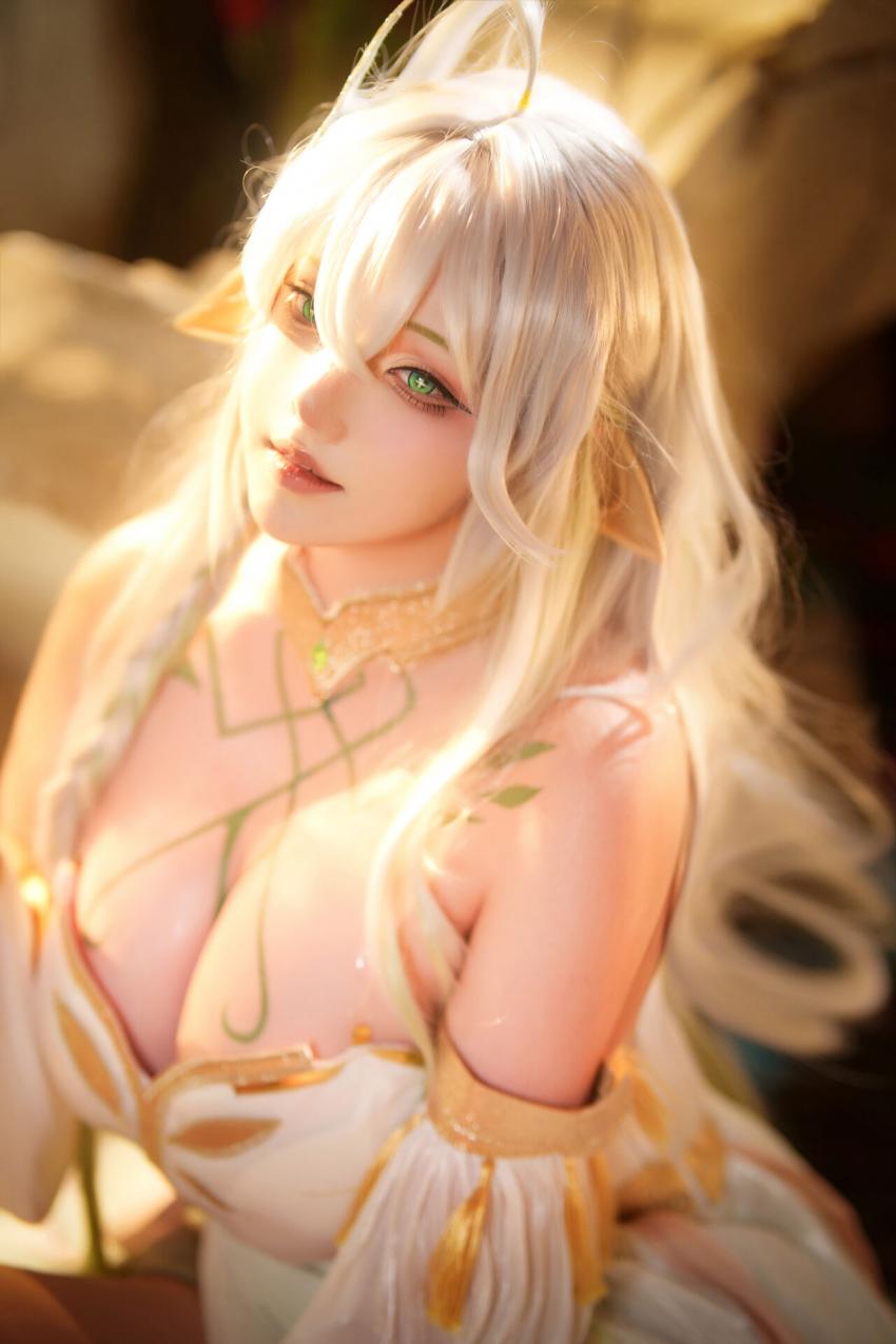 菌烨tako 大慈树王