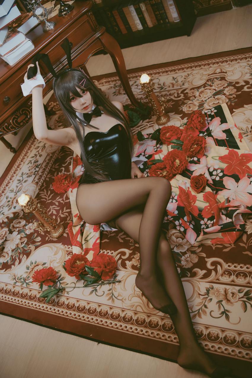 【风之领域】青春猪头少年不会梦到兔女郎学姐-樱岛麻衣