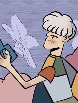 蓝花楹之恋，难道说？