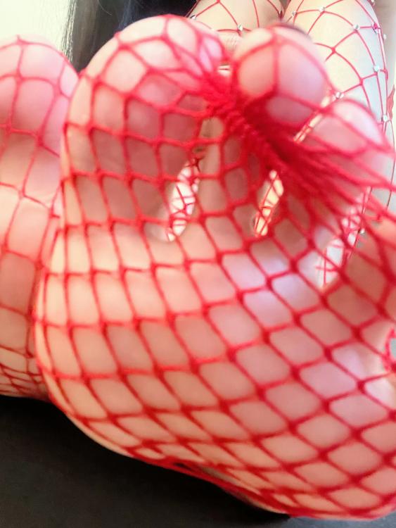 纪念小小v5 NO.027 渔网红丝