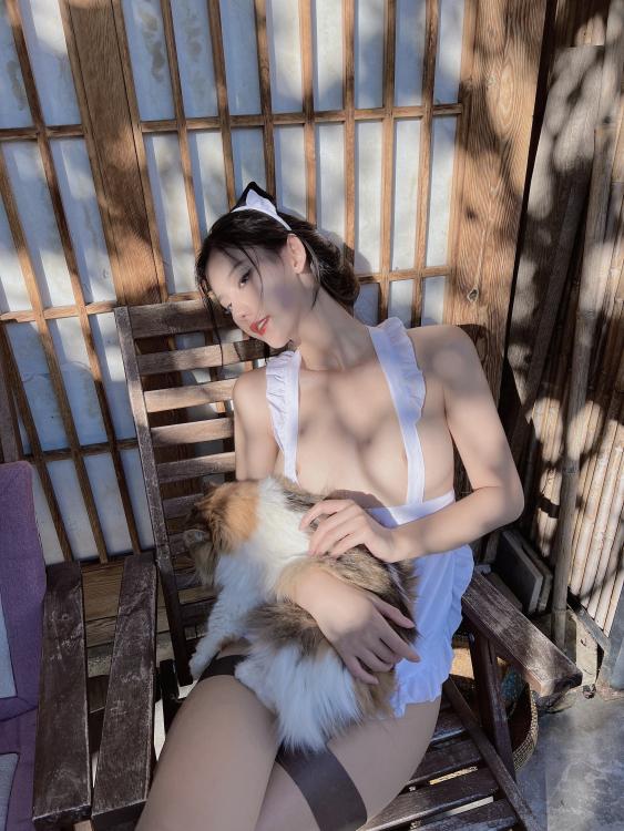 就是阿朱啊 NO.200 女仆与猫