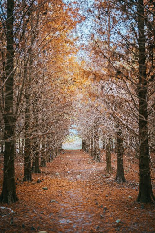 落落Raku NO.045 暮秋 muhchiou [58P-680MB]